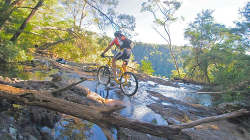 Rainforest Adventure Bike Tour by Mountain Bike Tours
