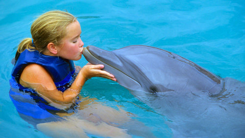 Kids-Only Shallow Water Dolphin Experience