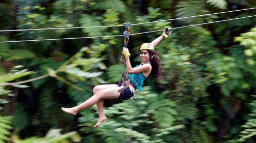 Rainforest Zipline Adventure