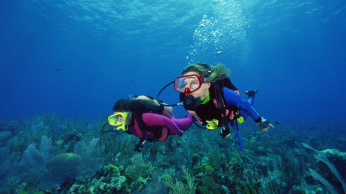 Grand Bahama Scuba Diving