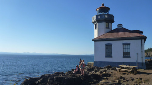 San Juan Island: Full-Day Private Quest for Orcas, Pigs & Wine