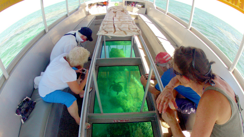Glass-Bottom Boat Cruise by Ningaloo Ecology Cruises