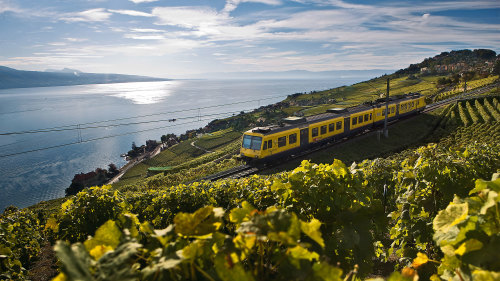 Cheese & Chocolate Tour with the Golden Express Train by Keytours