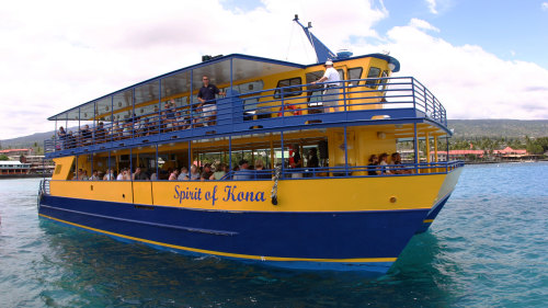 Glass-Bottom Boat Lunch Cruise & Dolphin Watching