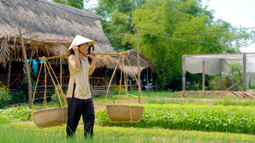 Flavors of Vietnam: Hoi An Market & Tra Que Village Cooking Class
