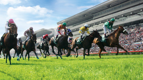 Horse Race Experience at Happy Valley Racecourse