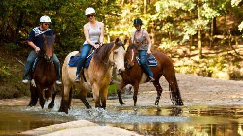 Horse Riding Tour at Glenworth Valley