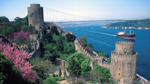 Bosphorus Cruise & Istanbul