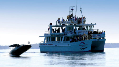 Jervis Bay Tour with Dolphin Watching Cruise by AAT Kings