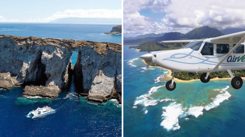 Combo Saver: Niihau Snorkel & Kauai Circle Island Flight