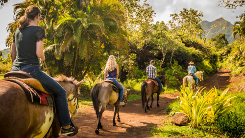 Tropical Horseback Adventure
