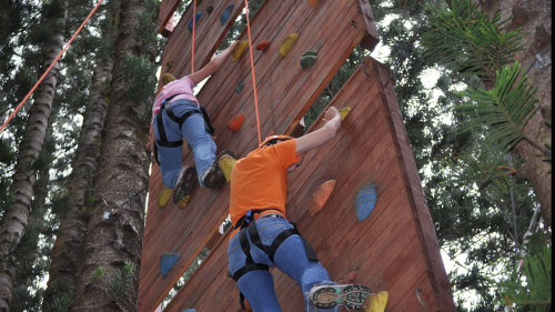 Zipline Eco-Adventure with Swing & Rock Wall Climb