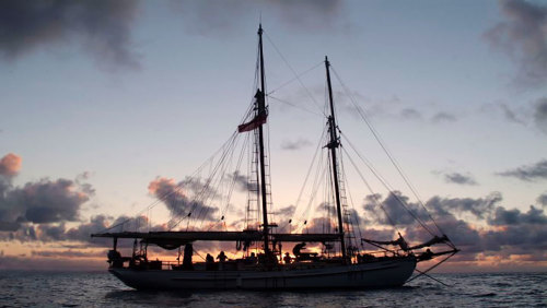 Tall Ship Sunset Cruise by Providence Sailing