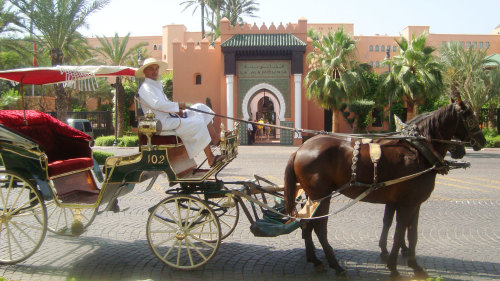 Gardens & Ramparts Tour by Horse-Drawn Carriage