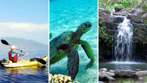 Kayak Snorkel & Waterfall Hike with Lunch