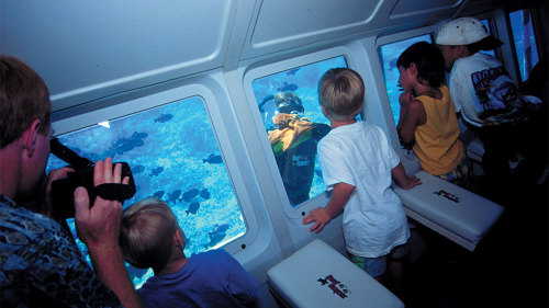 Glass-Bottom Reef Explorer
