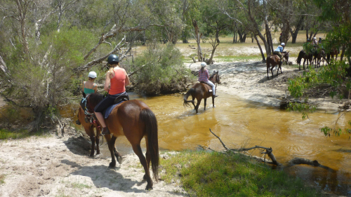 Heritage Horse Ride by 1800 Trail Rides