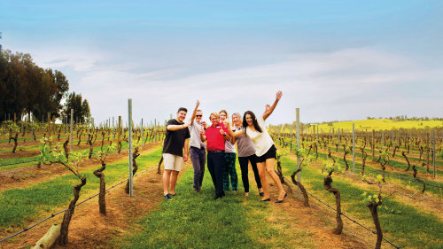4-Day Food & Wine Discovery Tour by AAT Kings