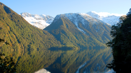 Milford Sound Coach & Cruise Full-Day Tour by ECO Tours Milford Sound