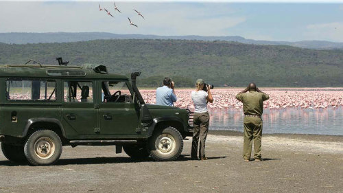 Lake Nakuru National Park Full-Day Tour