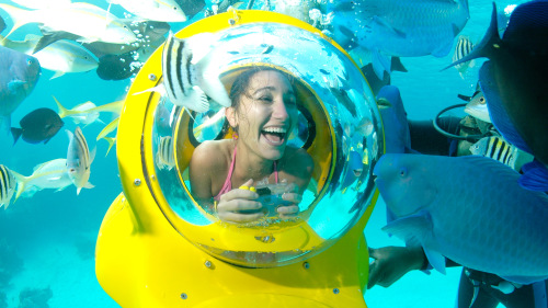 Scenic Underwater Bubble Bahamas Adventure