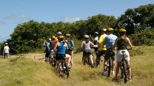 Island Discovery Bicycle Tour