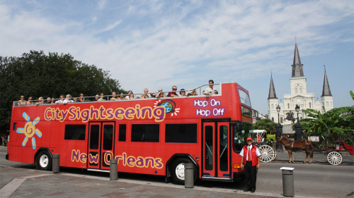 Hop-On Hop-Off Bus Tour by City Sightseeing