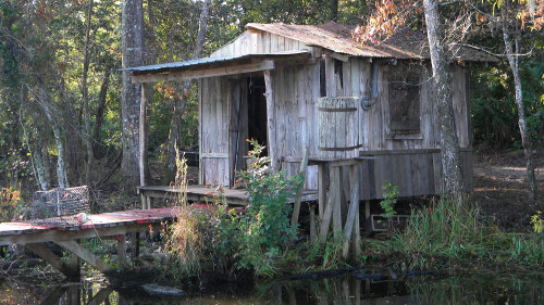 Jean Lafitte Swamp & Bayou Boat Tour