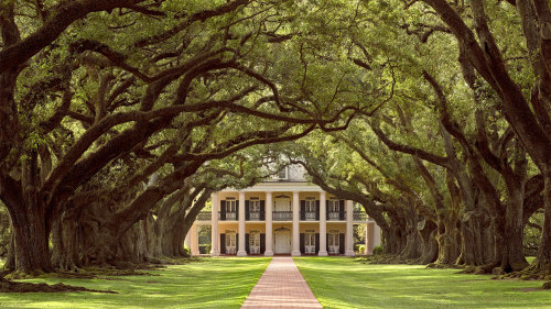 Gray Line New Orleans: Oak Alley Plantation & Super City Combo Tour