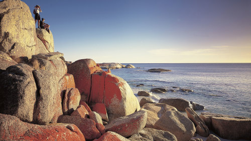 3-Day Bay of Fires Guided Walking Trip