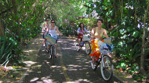 North Shore Tour & Snorkeling