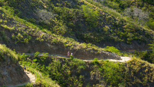 Diamond Head Hiking by Tachibana