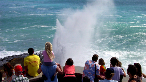 Guided Natural Highlights of Oahu Adventure