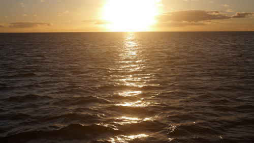 Waikiki Sunset Cruise & Cocktails