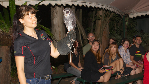 Cairns Night Zoo Tour