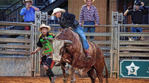 Real Western Rodeo Adventure