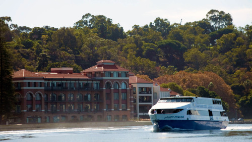 Swan River Scenic Cruise