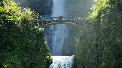 Columbia Gorge Cliffs, Falls, & Wind Private Tour