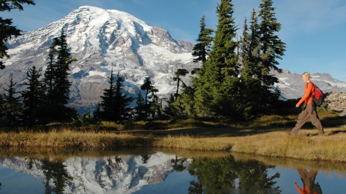 Mt Rainier Glaciers, Waterfalls & Wildlife Tour