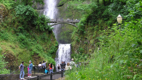 Deluxe Combination Hop-on, Hop-off City Tour, Multnomah Falls & Columbia River Gorge