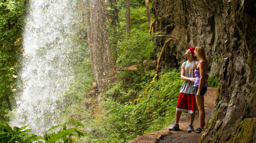 Full-Day Silver Falls Hiking Tour with Lunch