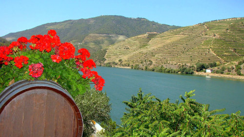 Douro Valley Winetasting Tour with Lunch