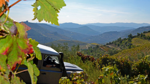Small-Group Douro Valley by 4x4 Full-Day Tour