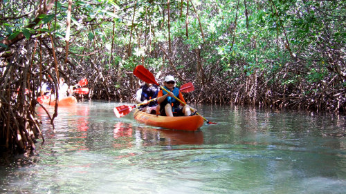 Bioluminescent Bay Kayak Adventure