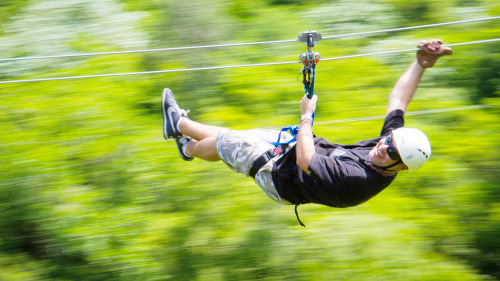 Zipline Adventure