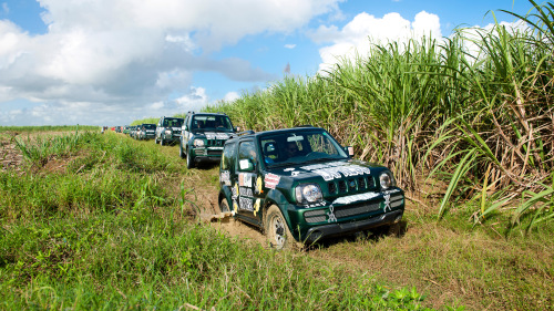 Jeep Safari Tour