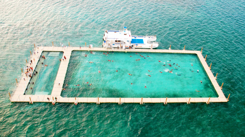 Caribbean Festival Sailing & Snorkeling