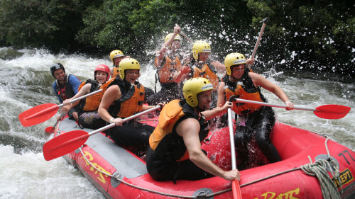 Rangitiaki River Rafting Adventure