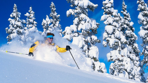 Snow Basin & Powder Mountain Ski Rental Package