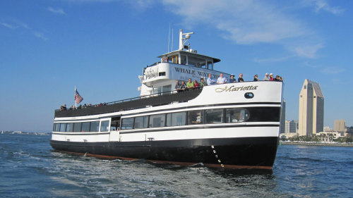 Whale Watching with Birch Aquarium Naturalists by Flagship Cruises & Events